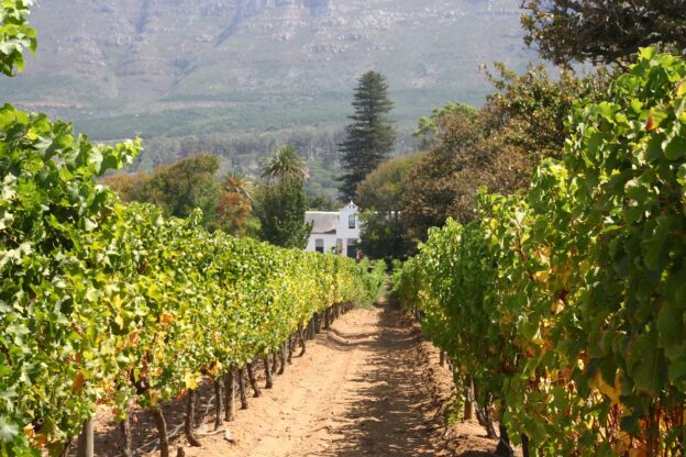 domaine viticole à vendre dans le Var (1)